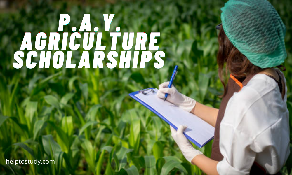 Agriculture scholarships