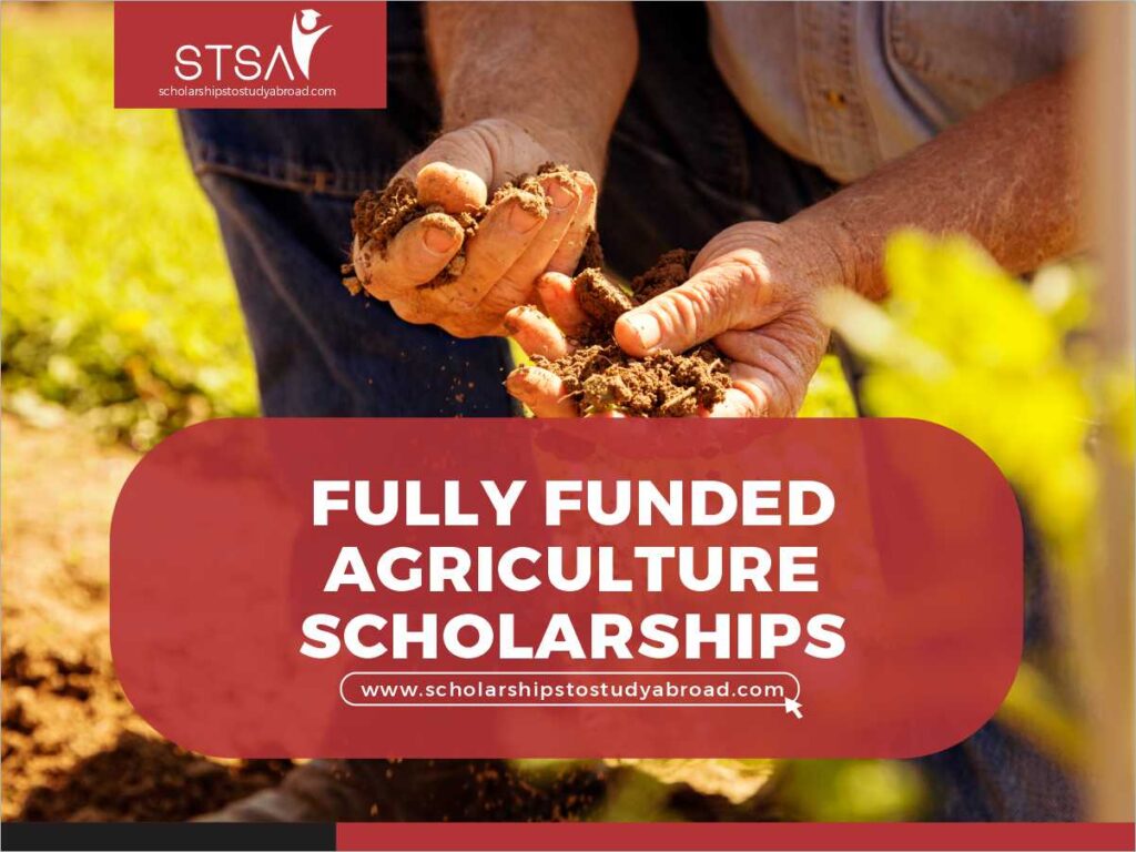 Cultivating Dreams: My Journey to Agricultural Scholarships Abroad