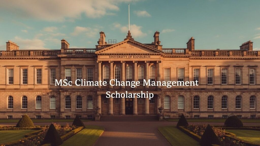 Navigating the Green Path: My Journey to Finding Climate Change Scholarships