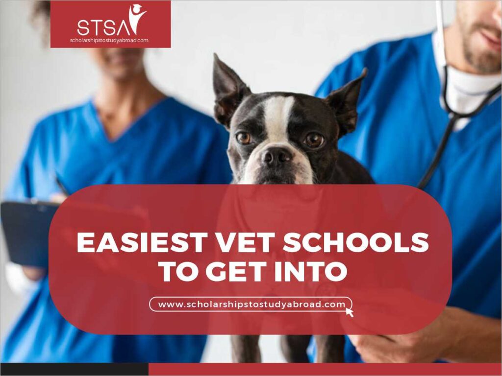Unlocking Your Future: My Personal Journey to Veterinary Scholarships Abroad
