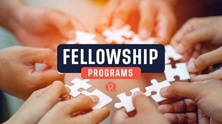 My Journey Through Fellowship Programs: Unlocking Potential and Redefining My Path